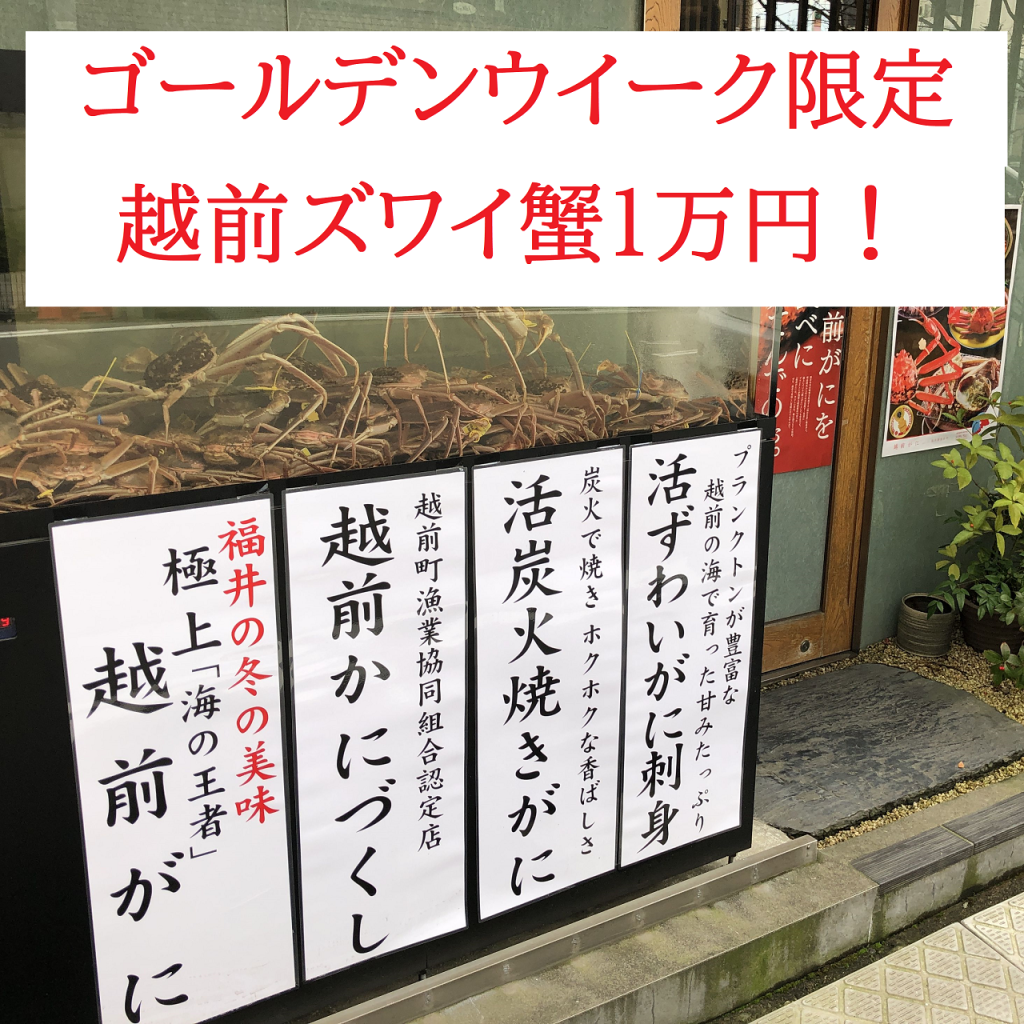 【GW限定割引】越前ズワイ蟹と福井食べ尽くしプラン19000円を15000円で提供！ズワイ蟹は1万円！