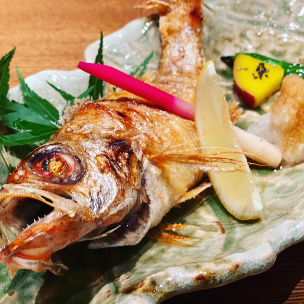 【新メニュー】福井の高級魚「ノドグロ」塩焼き付き和食コース
